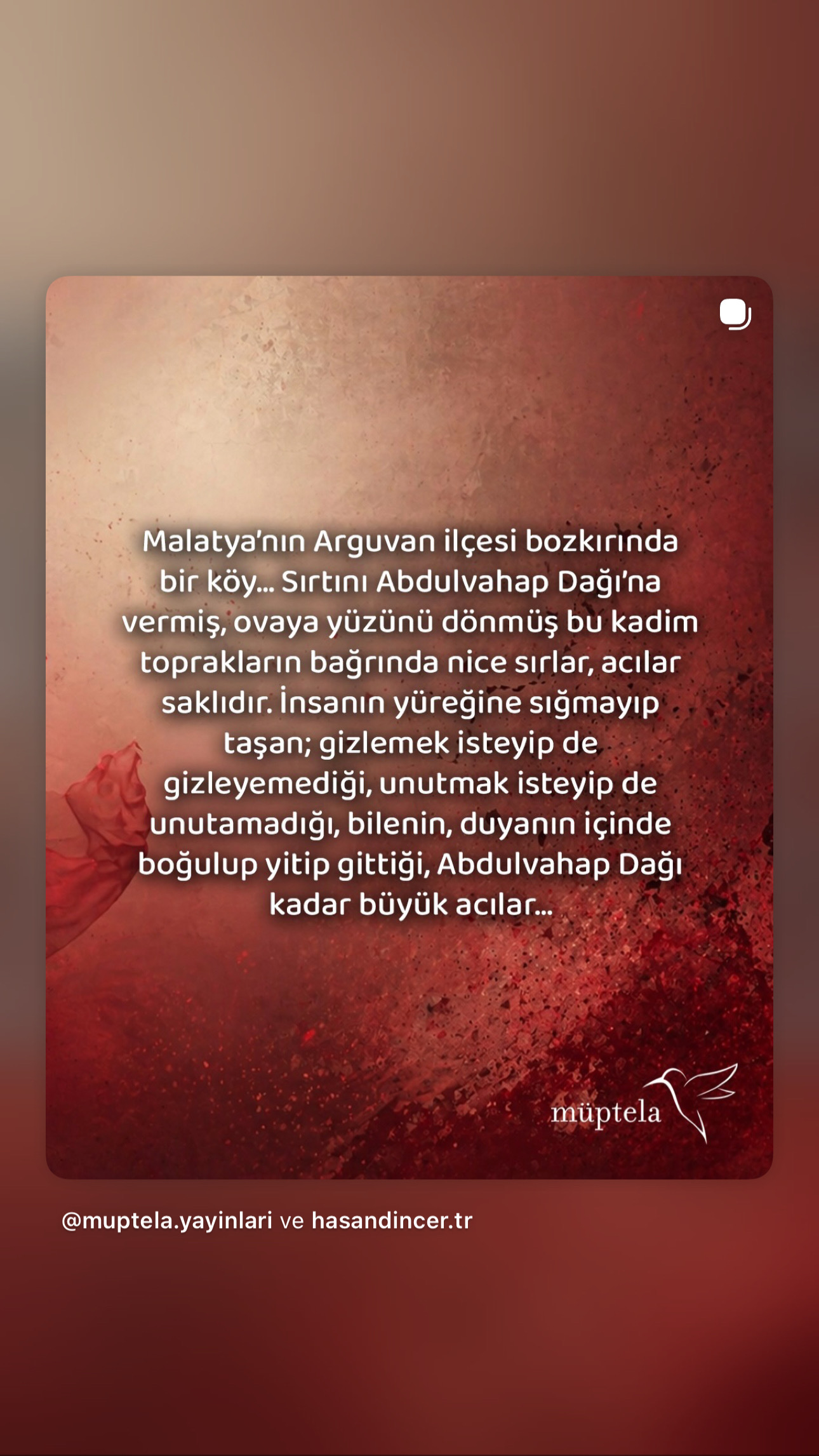 Albüm fotoğrafı 1